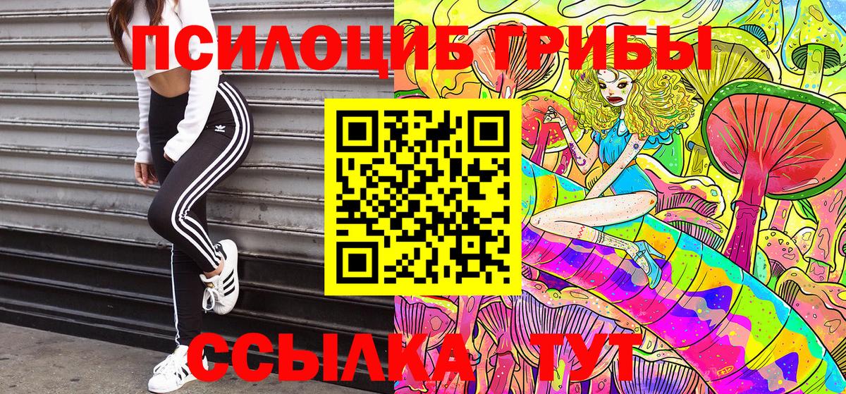 Алапаевск  Псилоцибиновые грибы MAGIC MUSHROOMS  Псилоцибиновые грибы Psilocybine cubensis  наркошоп  Вход с VPN 